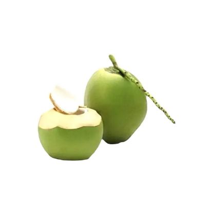 Show details for Young Coconut From Vietnam 1'S Picture of Young Coconut From Vietnam 1'S