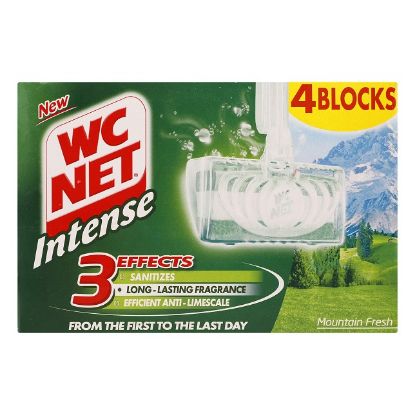 Picture of WC Net Blocks Mountain Fresh Fragrance 1pc