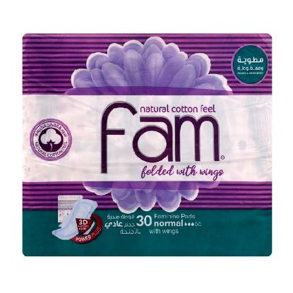 Picture of Fam Natural Cotton Feel Normal With Wings 30's